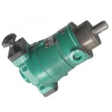 16SCY14-1B  axial plunger pump