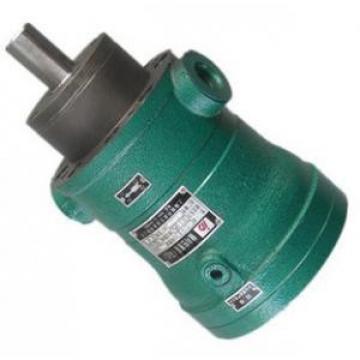 250MCY14-1B  fixed displacement piston pump