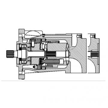 Dansion P080 series pump P080-02L1C-E8P-00