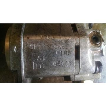 Rexroth SR1237EK65L 100 05116 Tang Drive Hydraulic Gear Pump