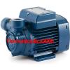 Electric Peripheral Water PQ Pump PQm65 0,7Hp Brass impeller 240V Pedrollo Z1