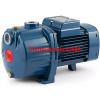 Multi Stage Centrifugal Electric Water Pump 2CP80-C 0,5Hp 400V Pedrollo Z1 #1 small image