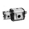 NACHI Italy IPH-55B-40-50-11  IPH Series Double IP Pump #1 small image