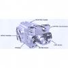 Dansion piston pump Gold cup P7P series P7P-2L1E-9A6-B00-0A0