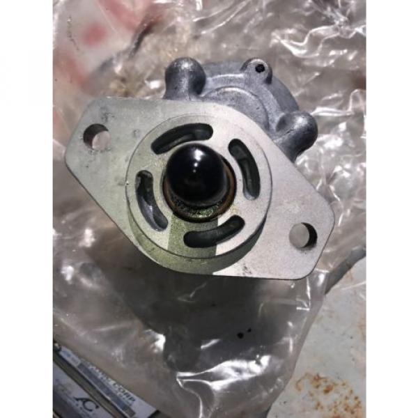 New Parker Hydraulic Gear Pump D09AA2A X0706-00634 #2 image