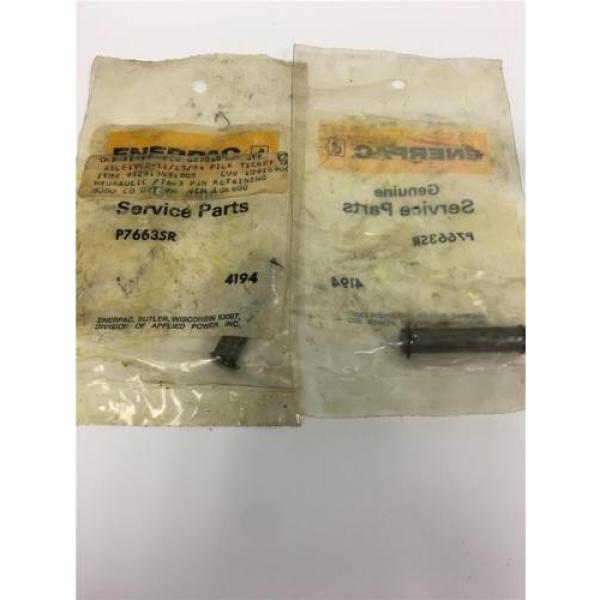 ENERPAC P391K2 Hydraulic Pump Repair Kit Seal Gasket Pin Clip 03098C AH604 Lot #3 image