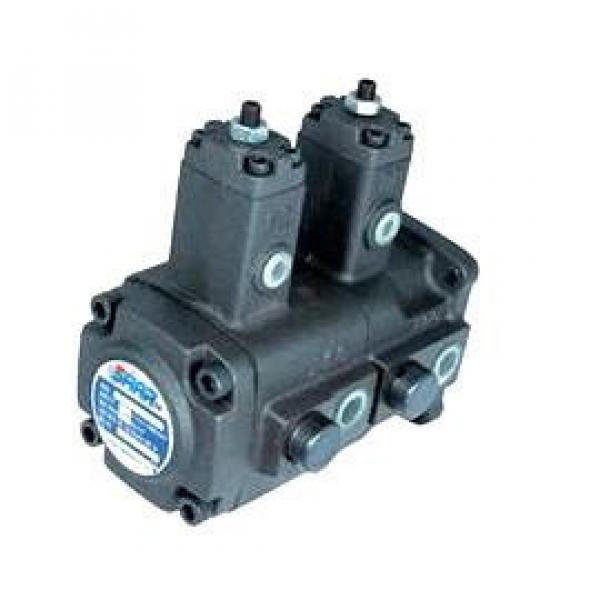 VB1B1-2020F-A3 Variable Displacement Vane Pumps #1 image