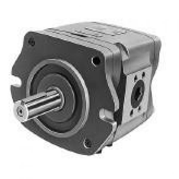 NACHI Greece IPH-6A-125 IPH SERIES IP PUMP #1 image