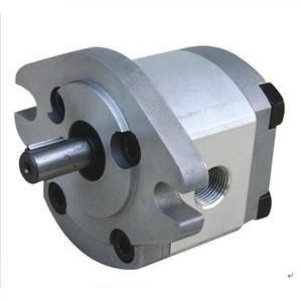 HGP-1A India Series Gear Pump #1 image