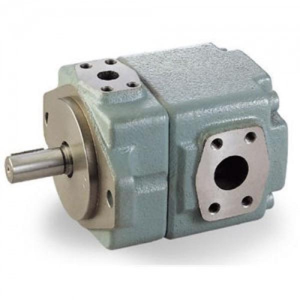 T6CC Quantitative vane pump T6CC-008-008-1R00-C100 #1 image