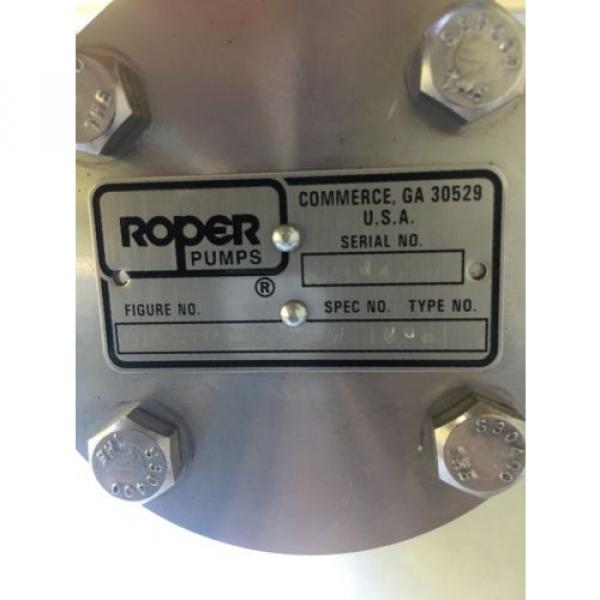 NEW ROPER PUMPS 01SS1PTYDJHLW ROTARY PUMP 16261 #3 image